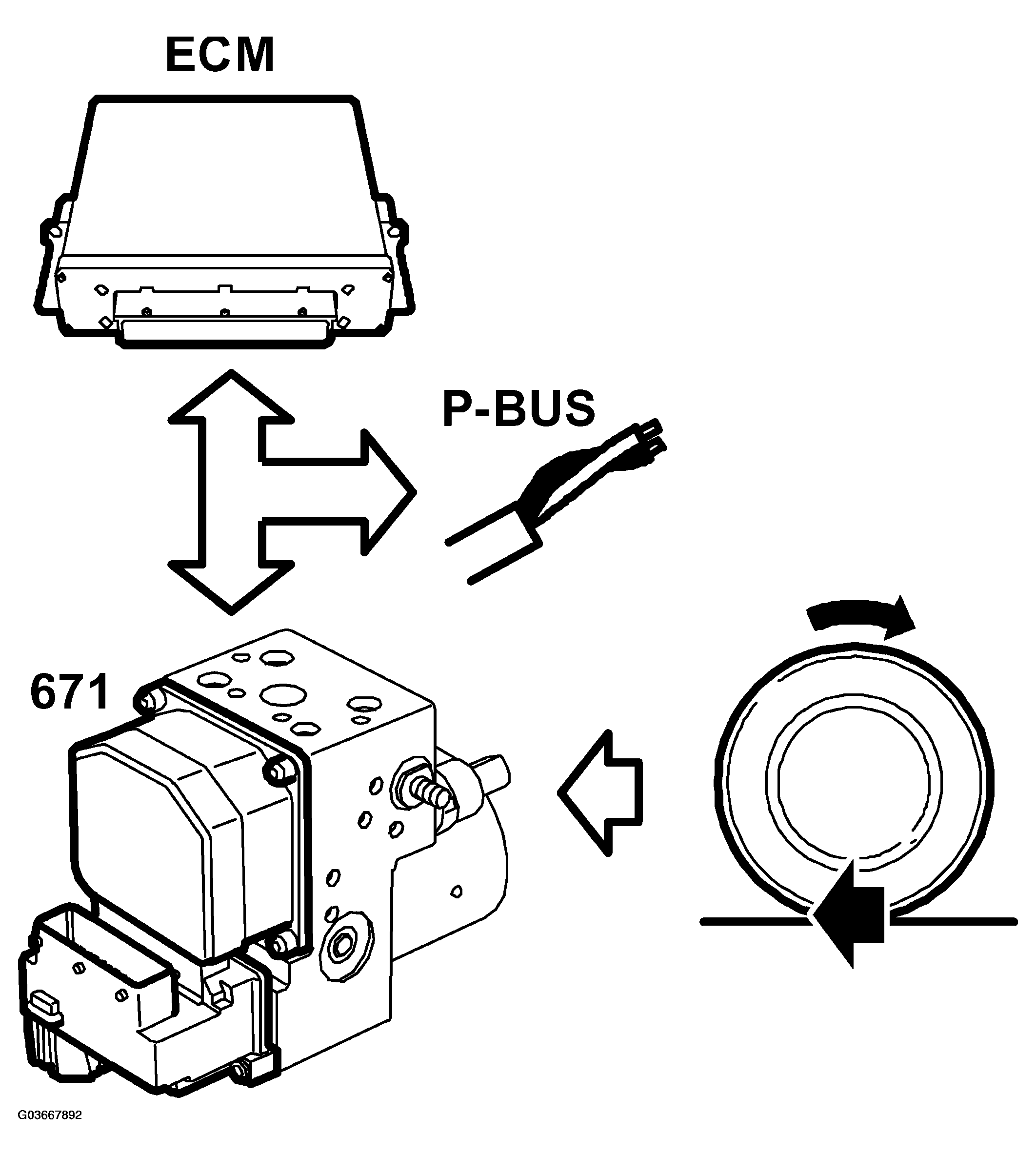 G03667892
