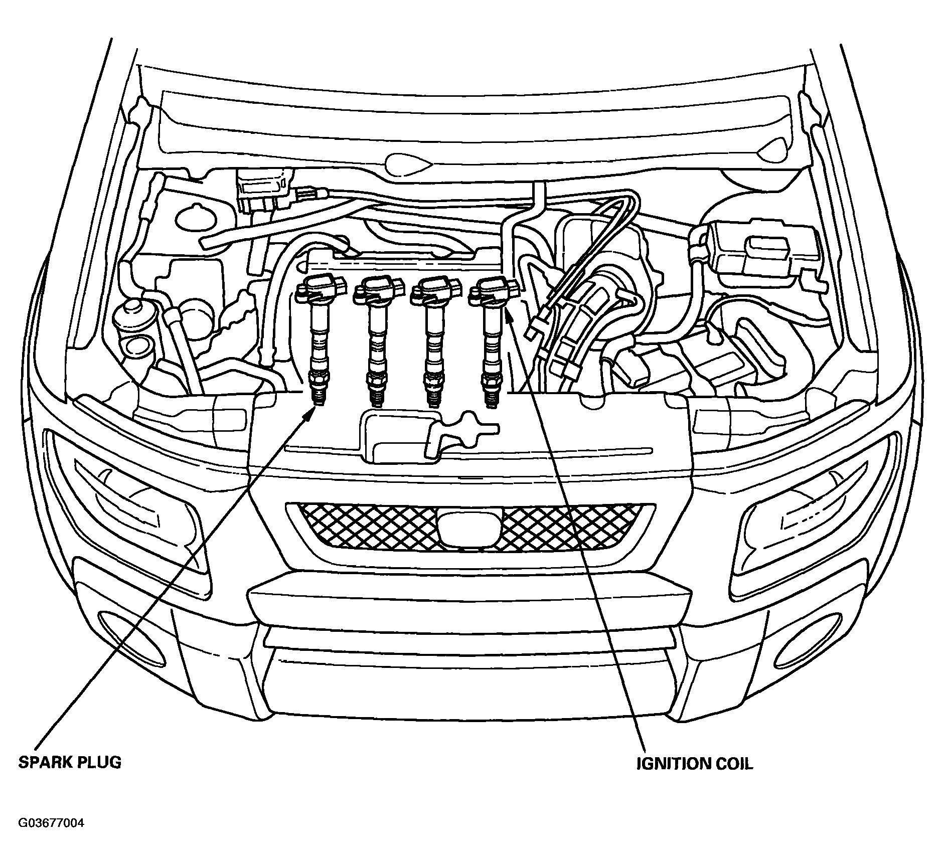 G03677004