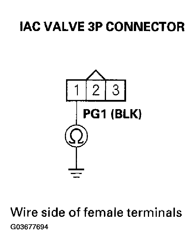 G03677694