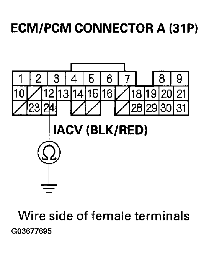 G03677695
