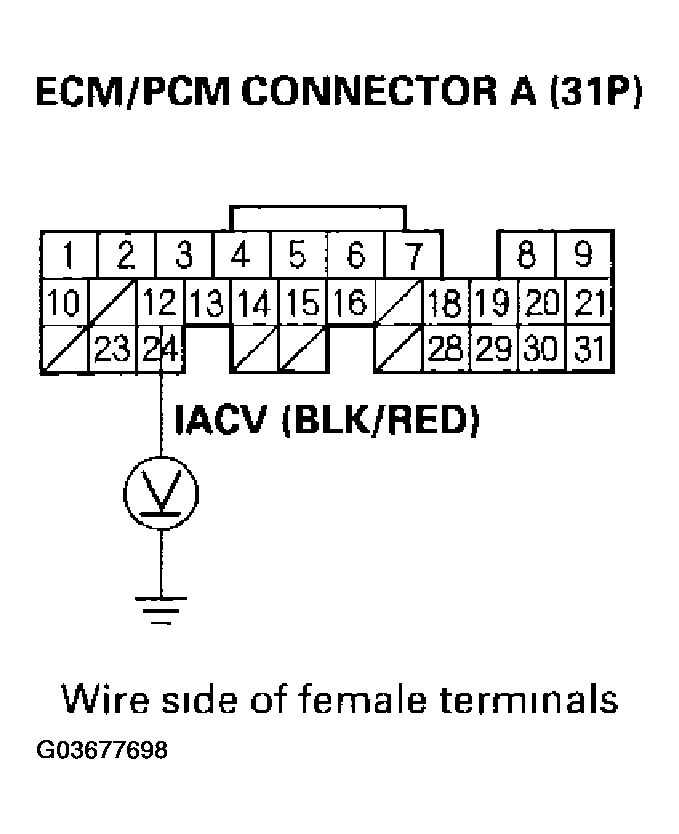 G03677698