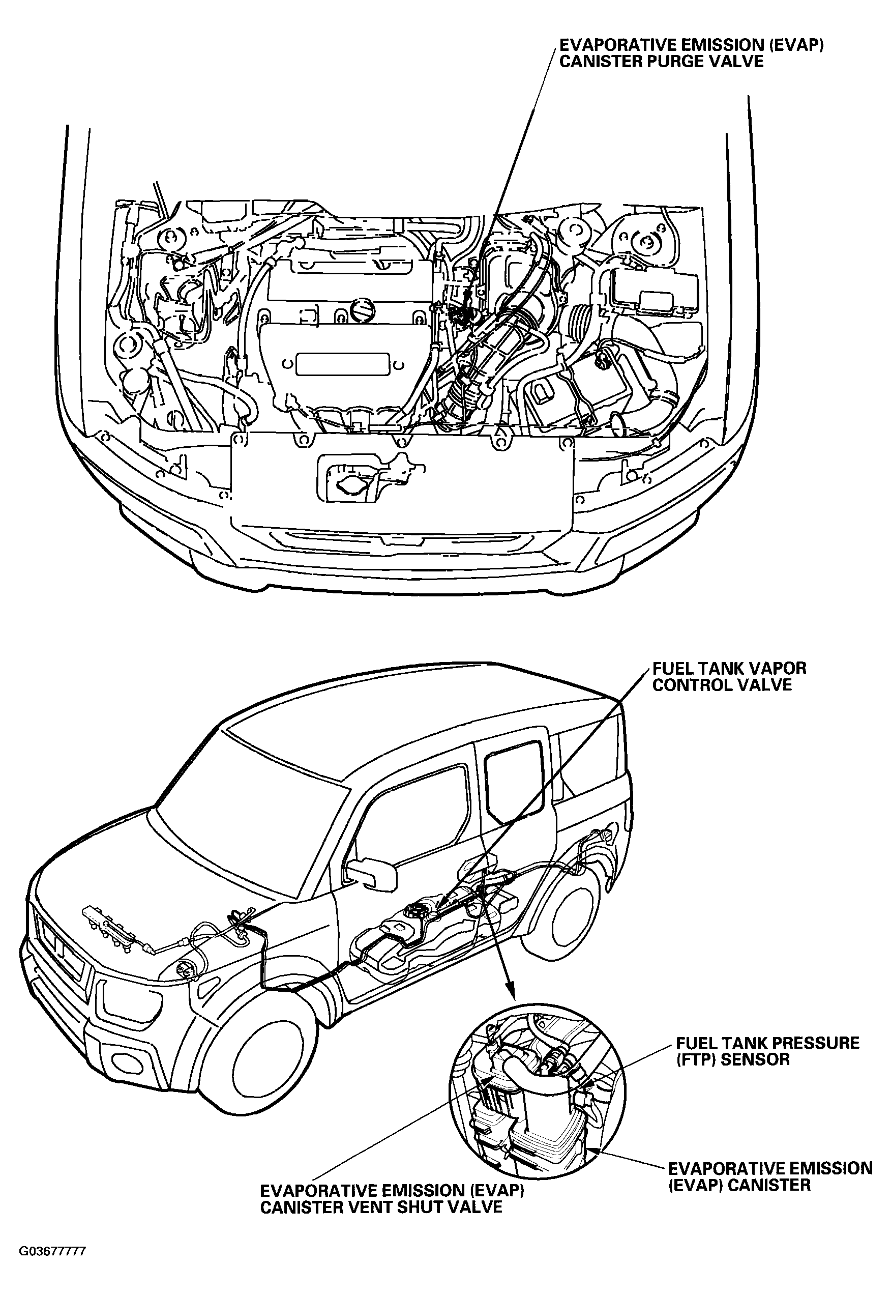G03677777