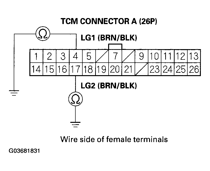 G03681831