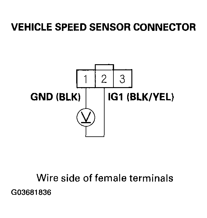 G03681836