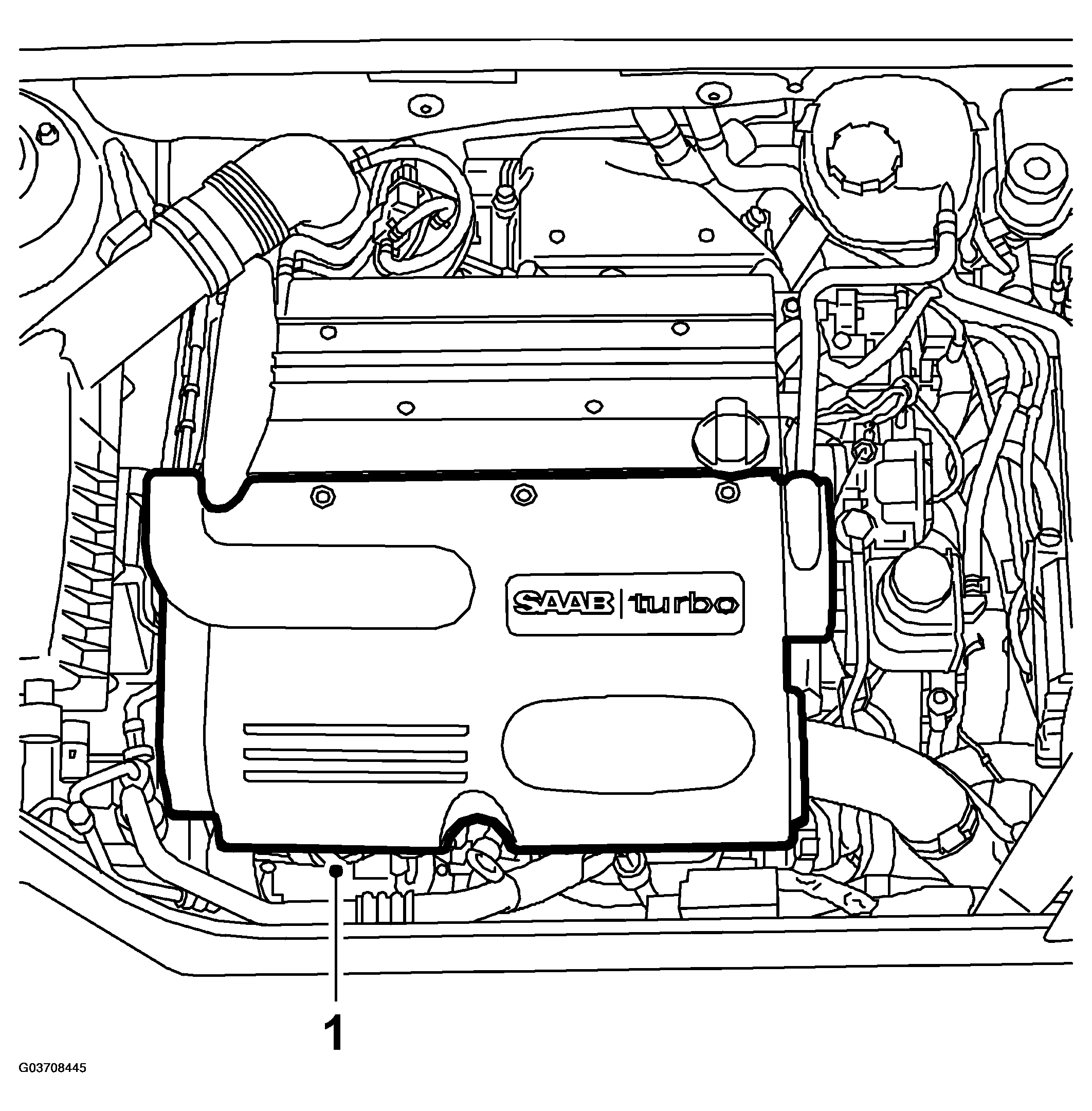 G03708445