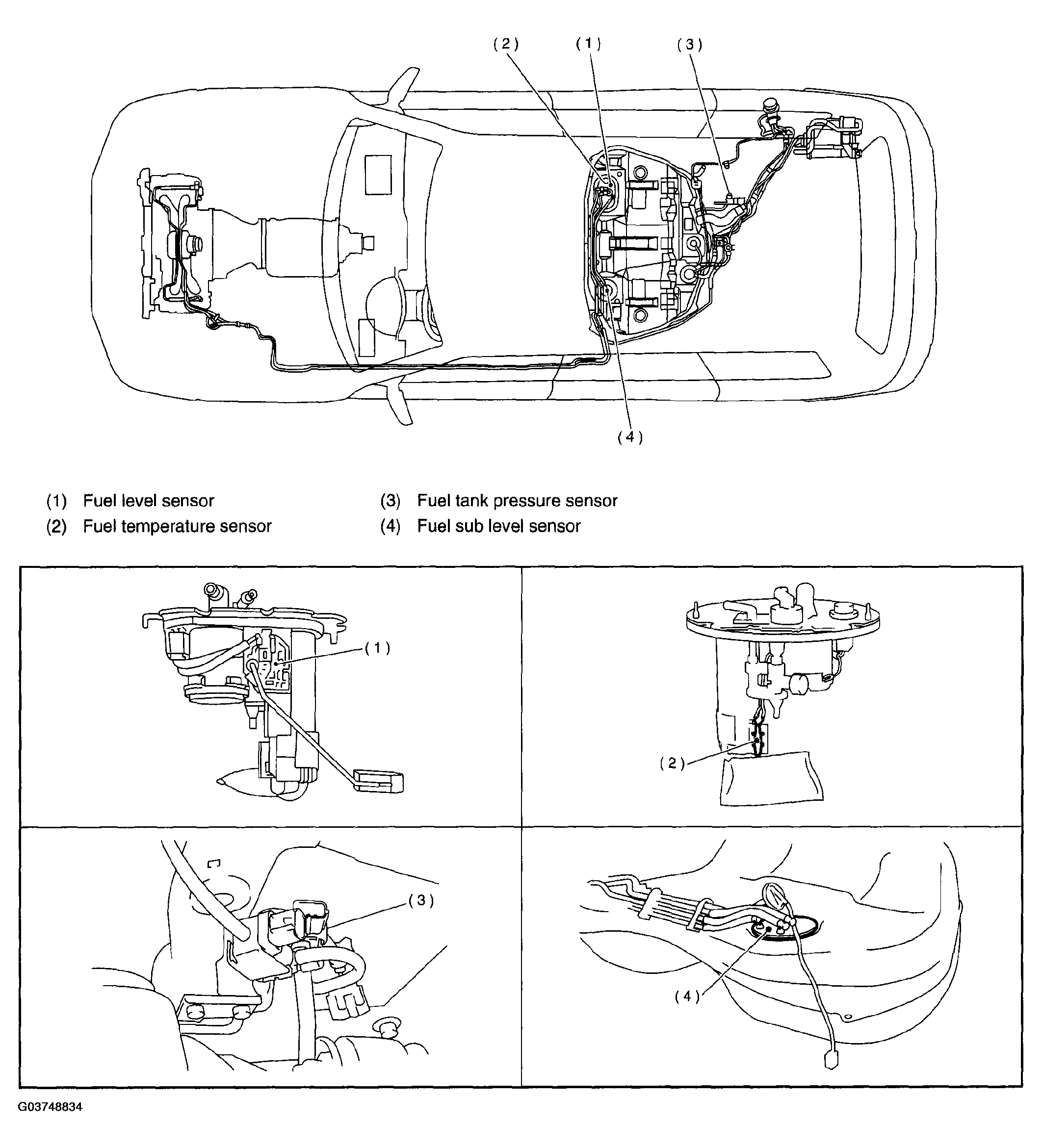 G03748834