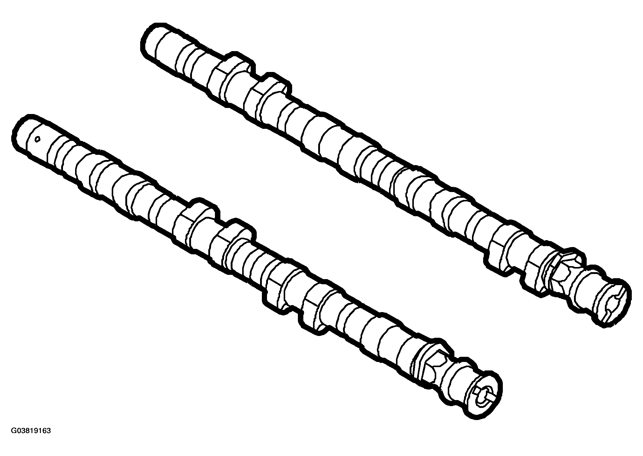 G03819163
