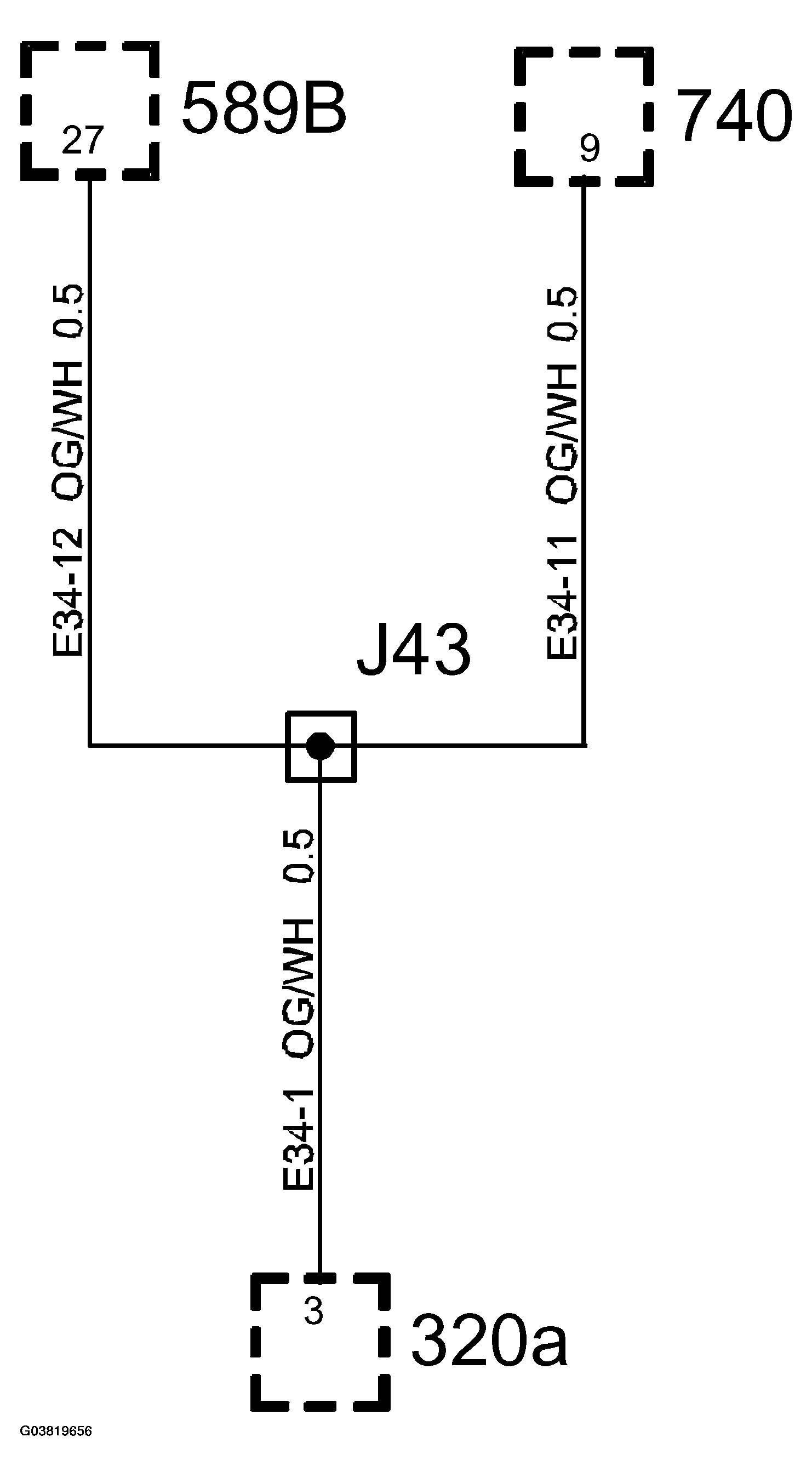G03819656
