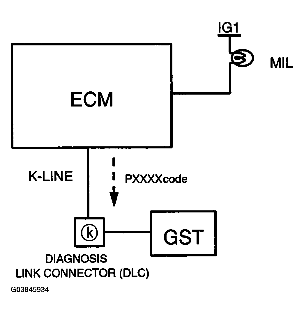 G03845934