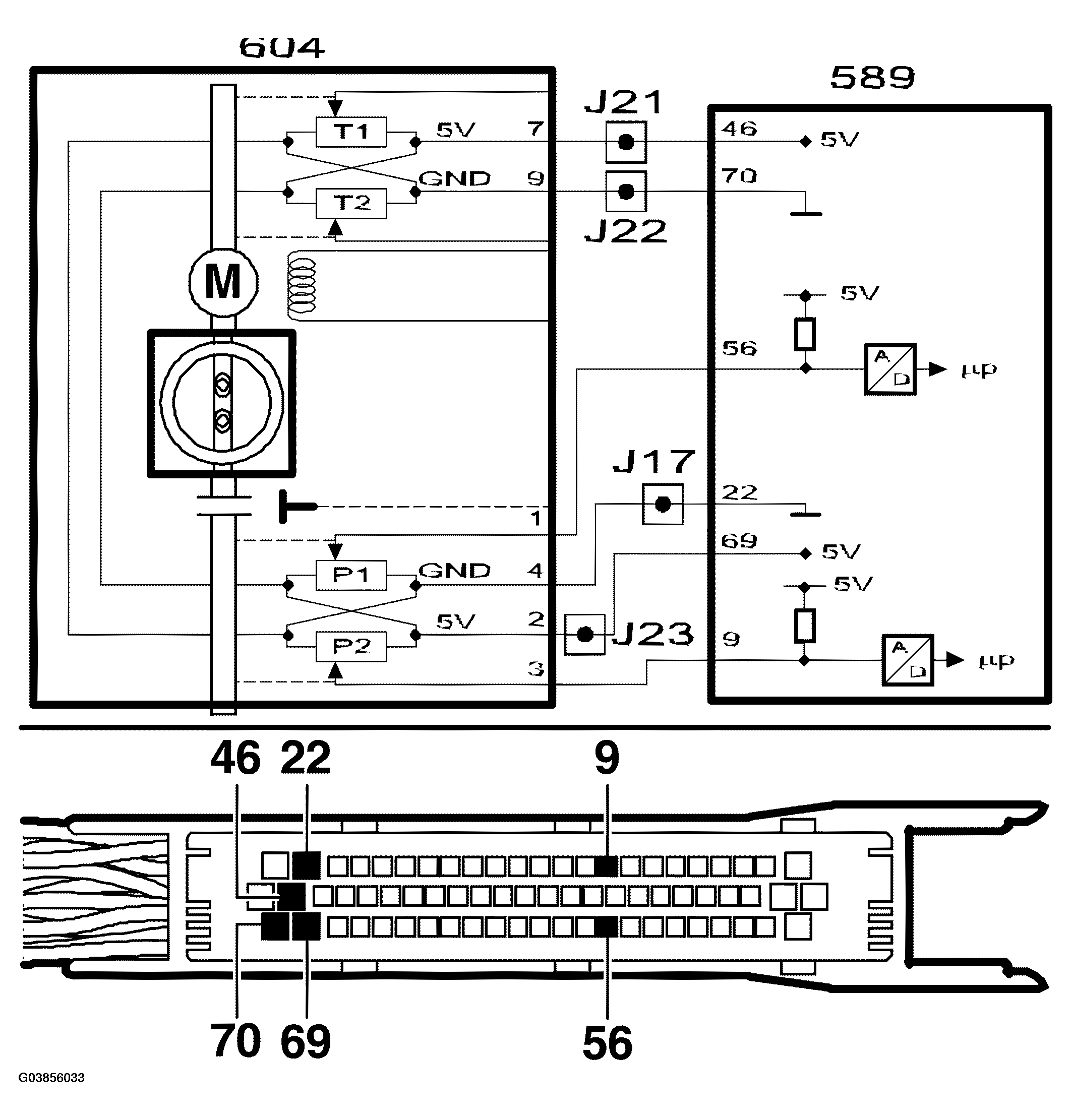 G03856033