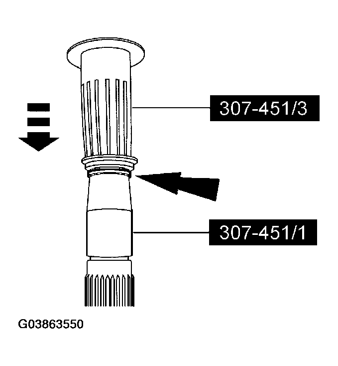 G03863550
