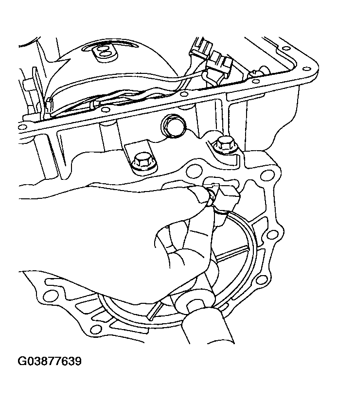 G03877639