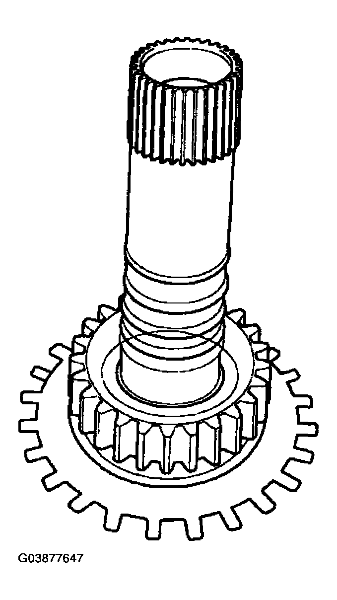 G03877647