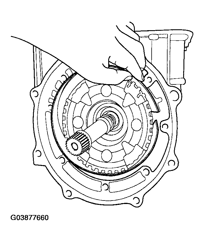G03877660