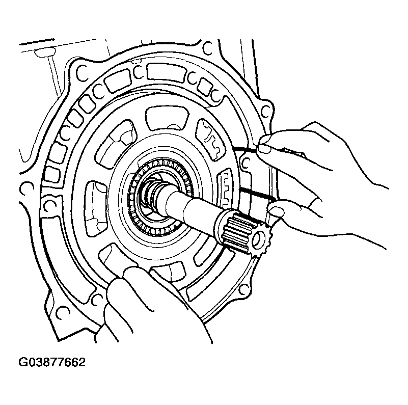G03877662