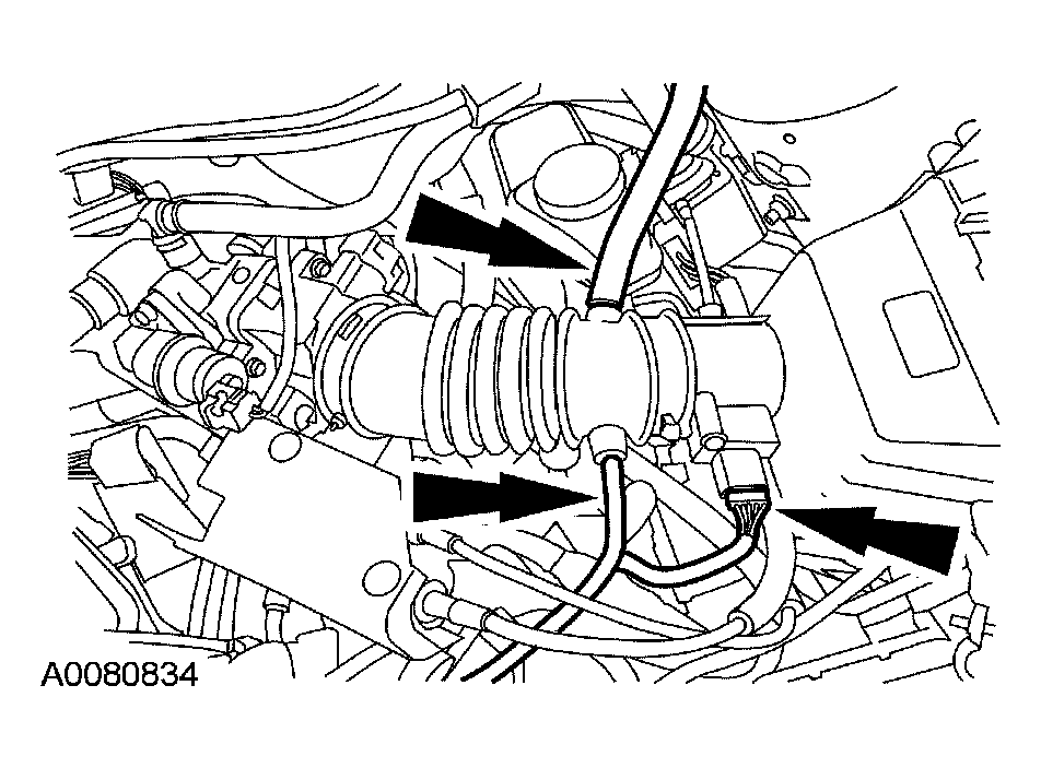G03956748