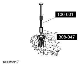 G06098229