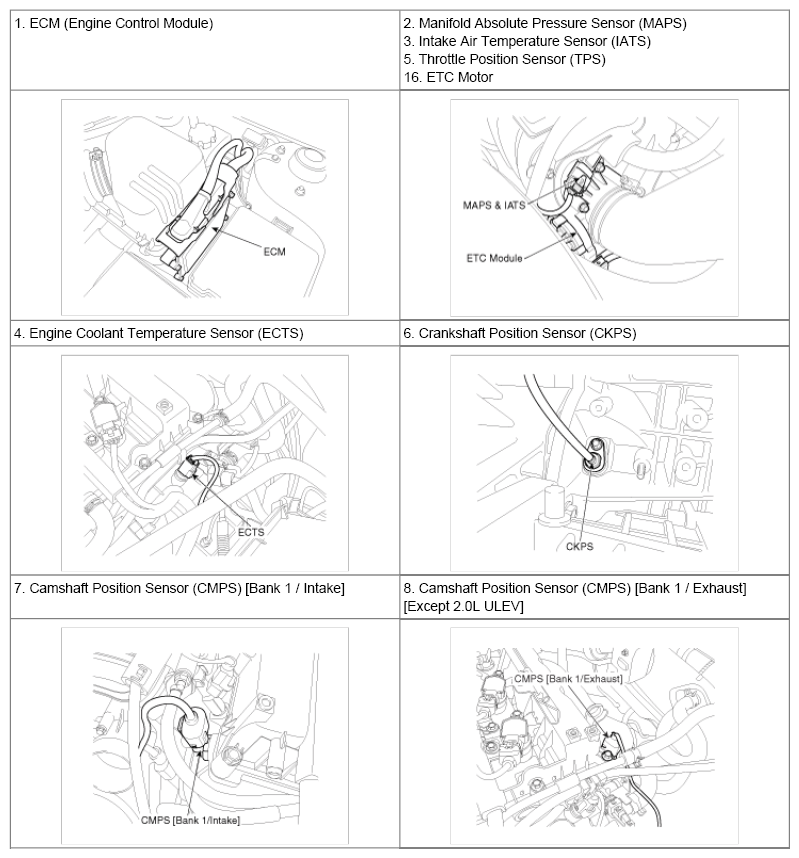 G06494291