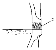 G06528569