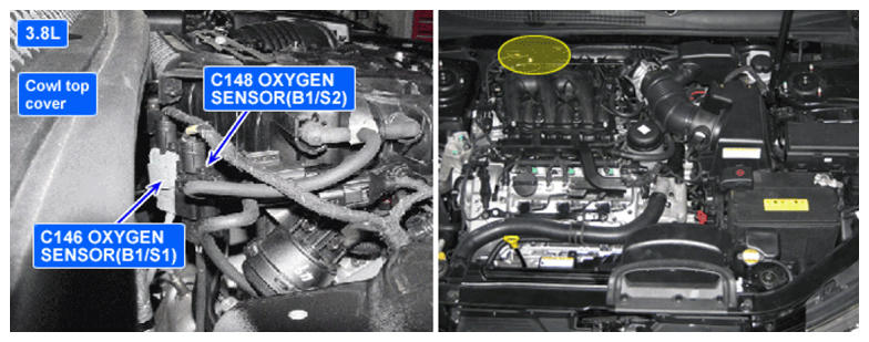 G07252445
