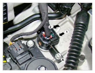 G09747181