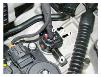 G09765594