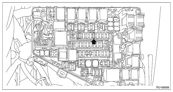 G10262219
