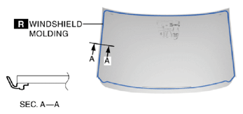 G10949524