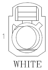 G11021146