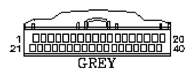 G11049656