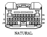 G11049828