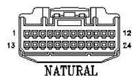 G11053921