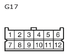G11135677