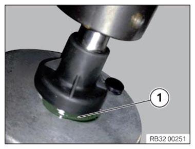 G11145344
