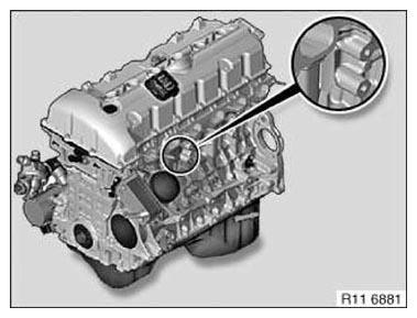 G11165215