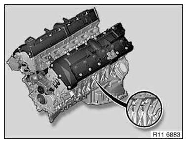 G11176204