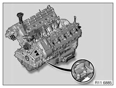 G11176206