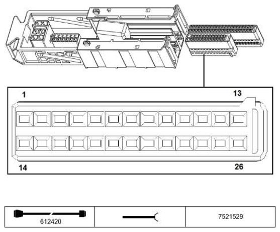 G11205544