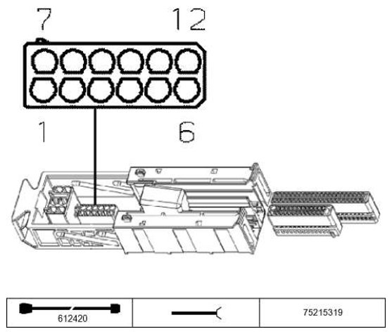 G11205776