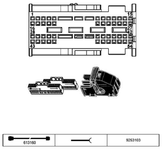 G11215274