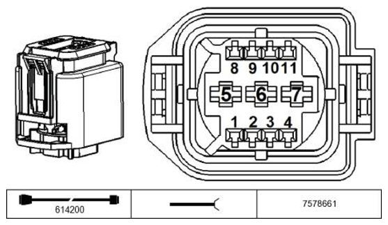 G11218184