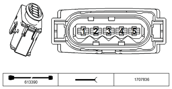 G11228204