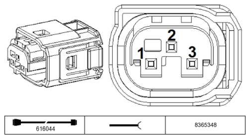 G11229207