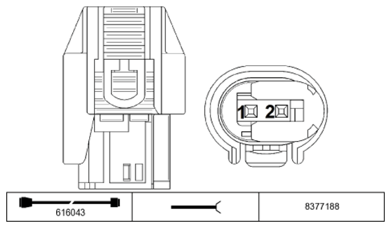 G11234240