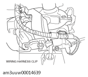 G11428731