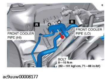 G11433495