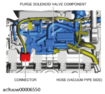 G11436404
