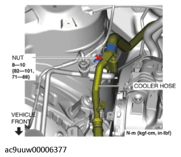 G11436708
