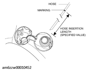 G11436896
