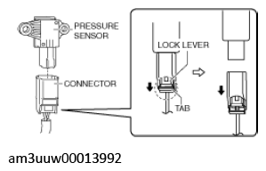 G11539281